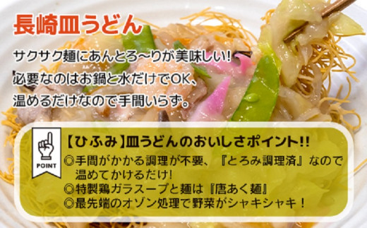 【D1-001】長崎伝統の味　ひふみの長崎皿うどん10個セット 皿うどん 贈り物 お取り寄せ お土産 お中元 お歳暮 内祝 ギフト 大好評