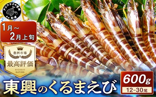 【宅配BOX不可】東興のくるまえび600g入【1月〜2月上旬発送】( くるまえび 東興のくるまえび 車海老 海老 エビ )【C2-041-01M】