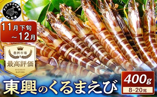 【宅配BOX不可】東興のくるまえび400g入【11月下旬〜12月発送】( くるまえび 東興のくるまえび 車海老 海老 エビ )【B6-040-12M】
