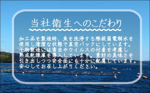 【B8-008】「アジフライの聖地　松浦」ふっくらサクサク大判アジフライ＆贅沢な塩鯖