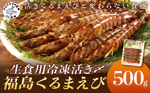 生食用冷凍活き〆福島くるまえび500g( 車海老 車エビ クルマエビ くるまえび えび エビ 海老 生食用 甲殻類 海産物 お刺身 冷凍 活き車えび )【B2-134】