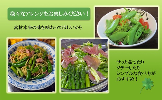 ★2026年春3月お届け★星鹿町産スナップエンドウとアスパラガス詰め合わせ1kg( スナップエンドウ スナップえんどう アスパラガス 新鮮 松浦市 )【A9-041】