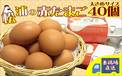 【B1-125】養鶏場直送!松浦の赤たまご(40個) たまご タマゴ 卵 赤たまご M Ｌ ML M〜L Mサイズ Lサイズ 卵かけごはん