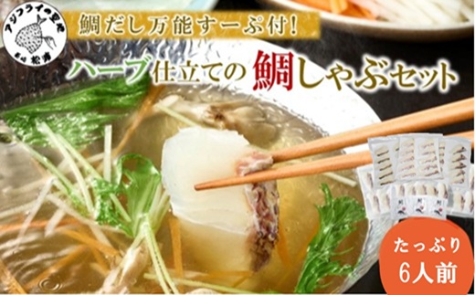 鯛だし万能すーぷ付！ハーブ仕立ての鯛しゃぶセット工場直送たっぷり6人前 ( 真鯛 ハーブ 鯛だし 凝縮 鯛しゃぶ カルパッチョ パスタ ハーブ飼料 )【C0-103】