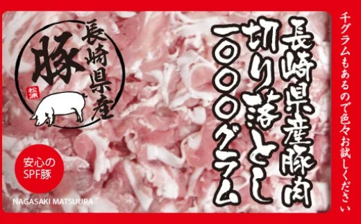【B0-156】長崎県産豚肉切り落とし1kg(250g×4パック) 長崎県産豚 野菜炒め 豚キムチ 豚汁 料理の強い味方 豚 豚肉 豚切り落とし