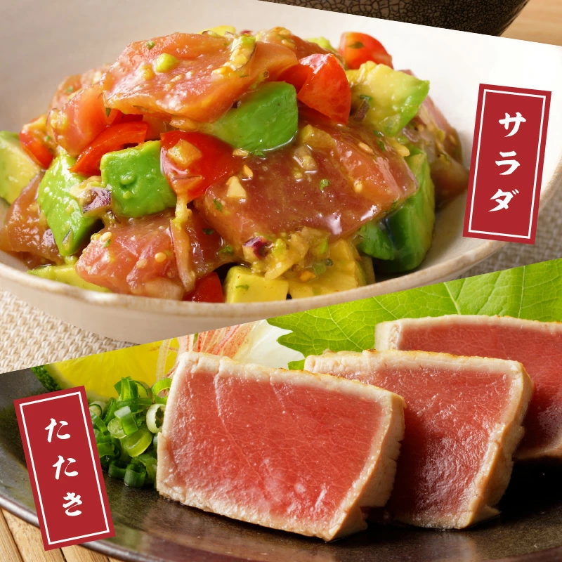 鷹島本まぐろ柵(赤身・中トロ) 合わせて350g( マグロ まぐろ 中トロ 赤身 本まぐろ 手軽 おつまみ 柵 流水解凍 )【B4-141】