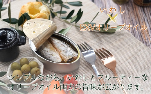 缶詰工場直送 「旬ほとぎ」イワシオリーブオイル12缶 ( イワシ缶 いわし イワシ 缶詰 工場直送 ご飯のお供 保存食 国産 保存食 非常食 防災 備蓄 長期保存 ) 【165-0005】