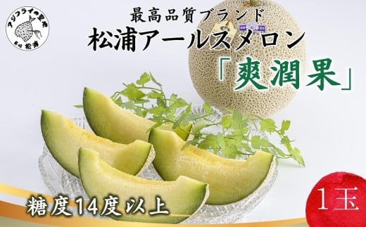 松浦アールスメロン「爽潤果(そうじゅんか)」1玉( メロン アールスメロン ブランド 人気 甘い 美味しい おいしい ギフト 期間限定 糖度14度以上 濃厚 芳醇 松浦 松浦市 長崎 長崎県 )【A9-077】