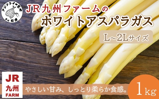 JR九州ファームのホワイトアスパラガス L～2Lサイズ 1kg ( アスパラガス ホワイトアスパラガス 国産 送料無料 長崎県 松浦市 )【176-0005】