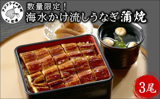 数量限定！海水かけ流しうなぎ蒲焼3尾( うなぎ 旨味 逸品 松浦 丑の日 ウナギ 海水かけ流し )【142-0003】