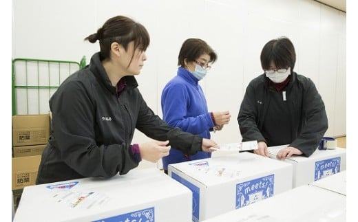 道の駅松浦海のふるさと館『旬のお野菜＋産みたて濃厚玉子6個＋お米5kg』の大満足セット！( 産地直送 新鮮 白米 米 卵 たまご タマゴ 野菜 旬 詰め合わせ農家 季節 サラダ 新鮮 セット 送料無料 松浦 お米 九州 おまかせ 特産品 大容量 道の駅 )【004-0006】