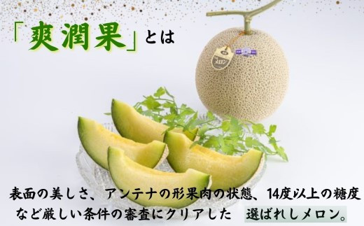 松浦アールスメロン「爽潤果(そうじゅんか)」2玉( メロン アールスメロン ブランド 人気 甘い 美味しい おいしい ギフト 期間限定 糖度14度以上 濃厚 芳醇 松浦 松浦市 長崎 長崎県 )【B5-135】