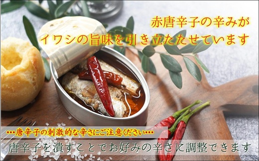 缶詰工場直送 「旬ほとぎ」イワシチリオイル12缶 ( ふるさと納税 イワシ缶 缶詰 工場直送 いわし ご飯のお供 保存食 送料無料 ) 【165-0006】