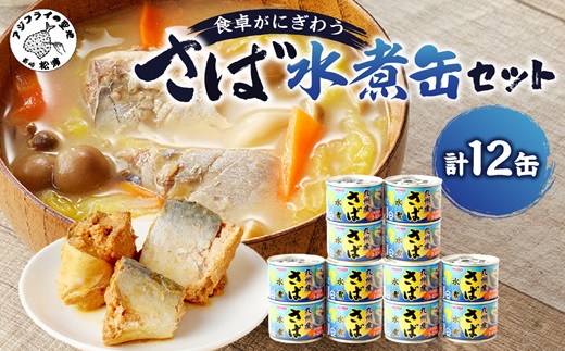 さば水煮缶セット(12缶)( さば サバ 鯖 さば缶 サバ缶 非常食 保存食 簡単調理 )【B3-097】