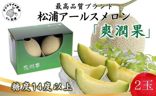 松浦アールスメロン「爽潤果(そうじゅんか)」2玉( メロン アールスメロン ブランド 人気 甘い 美味しい おいしい ギフト 期間限定 糖度14度以上 濃厚 芳醇 松浦 松浦市 長崎 長崎県 )【B5-135】