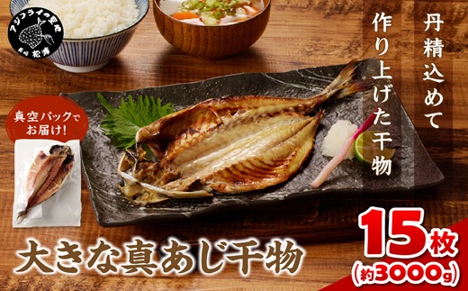 大きな真あじ干物 1枚200g×15(約3000g) ( アジ 特大真あじ 干物 小分け )【C2-046】