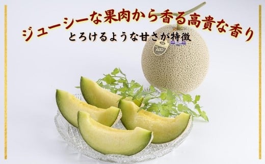 松浦アールスメロン「爽潤果(そうじゅんか)」1玉( メロン アールスメロン ブランド 人気 甘い 美味しい おいしい ギフト 期間限定 糖度14度以上 濃厚 芳醇 松浦 松浦市 長崎 長崎県 )【A9-077】