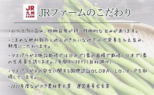 JR九州ファームの夏アスパラガス Lサイズ1.2kg( アスパラガス アスパラ 夏アスパラ 野菜 甘み 柔らかい 松浦市 )【B0-267】