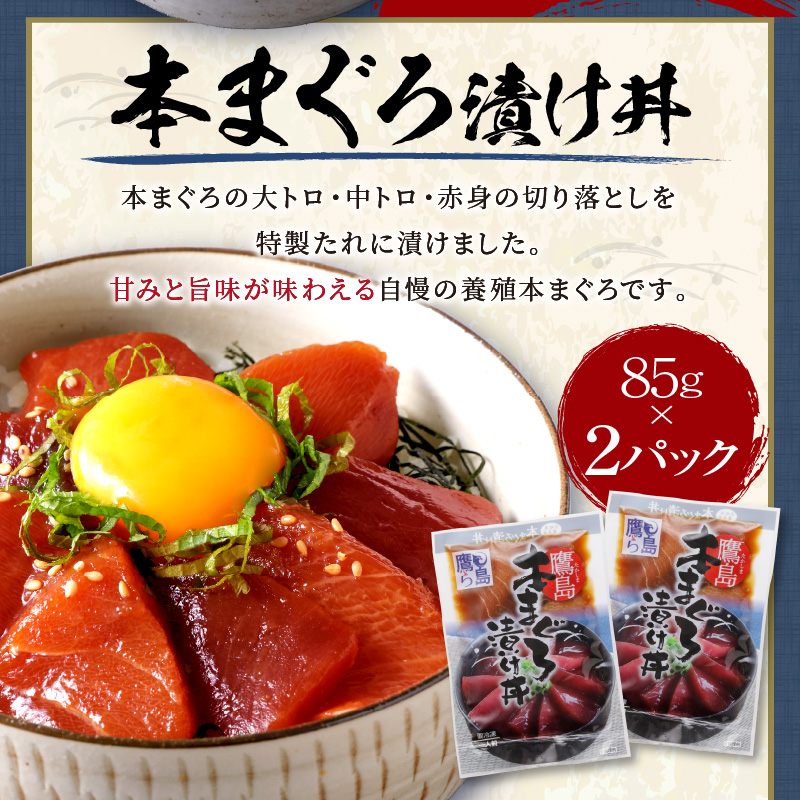 鷹島産本まぐろ・とらふぐ・ぶりの贅沢丼 3種セット[各2] ( 本マグロ 大トロ 中トロ 赤身 とらふぐ ブリ お手軽 丼 漬け 茶漬け 時短 )【B3-104】
