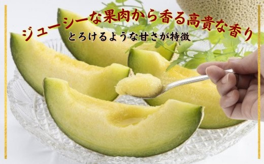 松浦アールスメロン「爽潤果(そうじゅんか)」2玉( メロン アールスメロン ブランド 人気 甘い 美味しい おいしい ギフト 期間限定 糖度14度以上 濃厚 芳醇 松浦 松浦市 長崎 長崎県 )【B5-135】