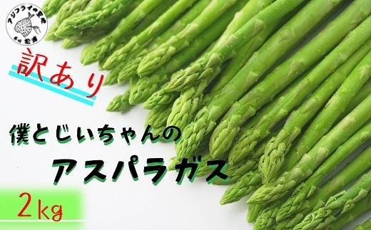 訳ありご家庭用に大活躍！僕とじいちゃんのアスパラガス2kg ( 訳あり 不揃い アスパラガス 大容量 新鮮 朝採れ 野菜 生産者直送 )【B0-225】