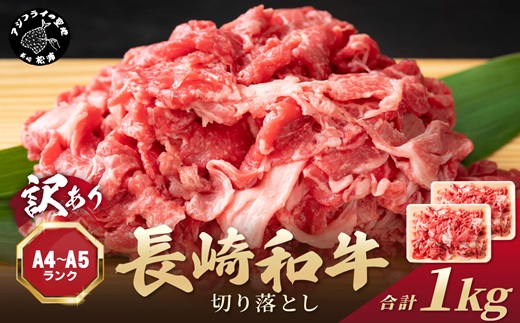訳あり！【A4～A5】長崎和牛切り落とし1kg(500g×2p)( 牛肉 おすすめ 長崎和牛 バーベキュー 焼肉 切り落とし 冷凍 国産 送料無料 赤身 )【181-0019】
