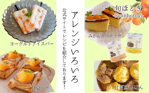 缶詰工場直送　特選果実「旬ほとぎ」甘夏みかん　12缶( みかん ミカン 甘夏 甘夏みかん 缶詰 みかん缶 シラップ漬け )【B8-030】