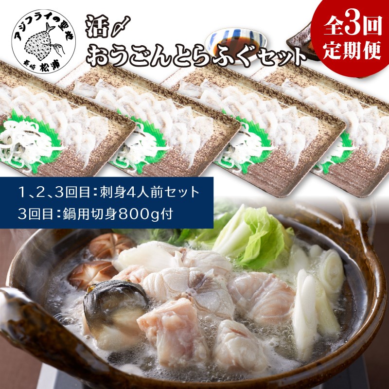 【全3回定期便】活〆おうごんとらふぐ刺身4人前セット　3回目鍋用切身800g付( 定期便 とらふぐ 鍋用 切り身 刺身 九州 長崎県 松浦市 )【999-0014】