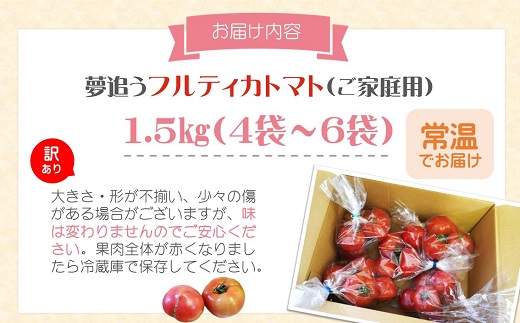 訳あり！ご家庭用に大活躍　夢追うフルティカトマト1.5kg( トマト とまと ジューシー リコピン 期間限定 松浦市 松浦産 フルティカトマト )【A6-033】