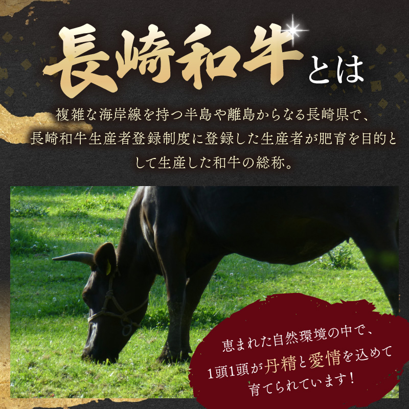 【厳選希少部位】【A4～A5】長崎和牛ミスジステーキ 約300g(100g×3p)( 牛肉 和牛 ミスジ ステーキ 冷凍 国産 送料無料 肉 お取り寄せ )【B0-271】