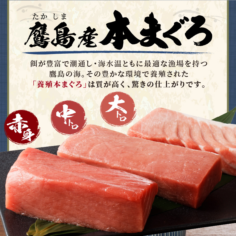 鷹島本まぐろ柵(赤身・中トロ・大トロ) 合わせて600g( マグロ まぐろ 赤身 中トロ 大トロ 本まぐろ 手軽 おつまみ 柵 流水解凍 )【C8-023】