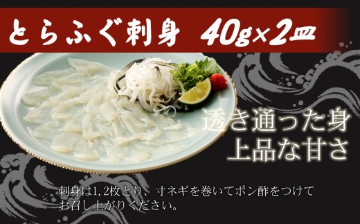 漁協直送！贅沢に刺身を味わう　とらふぐ刺身とちり鍋セット2〜4人前( とらふぐ トラフグ ふぐ フグ 河豚 刺身 ふぐ刺し フグ刺し 鍋 ちり鍋 ふぐちり 直送 松浦市 )【D5-011】