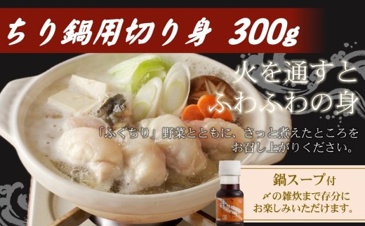 漁協直送！贅沢に刺身を味わう　とらふぐ刺身とちり鍋セット2〜4人前( とらふぐ トラフグ ふぐ フグ 河豚 刺身 ふぐ刺し フグ刺し 鍋 ちり鍋 ふぐちり 直送 松浦市 )【D5-011】