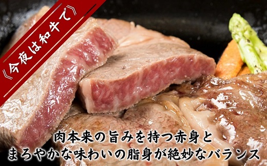 松浦食肉組合厳選Ａ4ランク以上長崎和牛ロースステーキ200ｇ×2枚（ステーキソース付）( A4ランク 和牛 長崎和牛 霜降 赤身 ジューシー 焼き肉 ステーキ ロース )【C0-070】