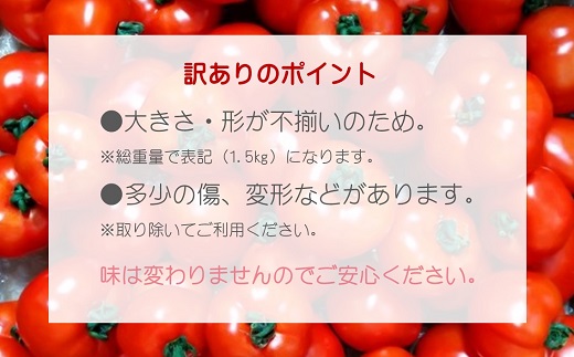 訳あり！ご家庭用に大活躍　夢追うフルティカトマト1.5kg( トマト とまと ジューシー リコピン 期間限定 松浦市 松浦産 フルティカトマト )【A6-033】