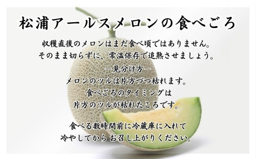 松浦アールスメロン「爽潤果(そうじゅんか)」2玉( メロン アールスメロン ブランド 人気 甘い 美味しい おいしい ギフト 期間限定 糖度14度以上 濃厚 芳醇 松浦 松浦市 長崎 長崎県 )【B5-135】