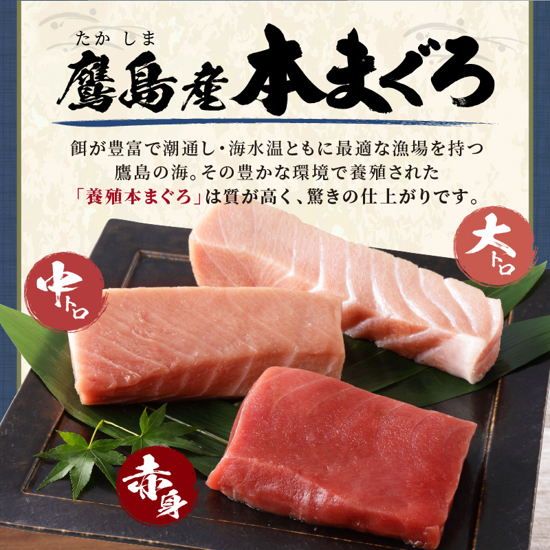鮃ケ蟲カ譛ャ縺セ縺舌m譟オ(襍、霄ォ繝サ荳ュ繝医Ο繝サ螟ァ繝医Ο) 蜷医o縺帙※1000g( 繝槭げ繝ュ 縺セ縺舌m 襍、霄ォ 荳ュ繝医Ο 螟ァ繝医Ο 譛ャ縺セ縺舌m 謇玖サス 縺翫▽縺セ縺ソ 譟オ 豬∵ーエ隗」蜃 )縲職5-010縲