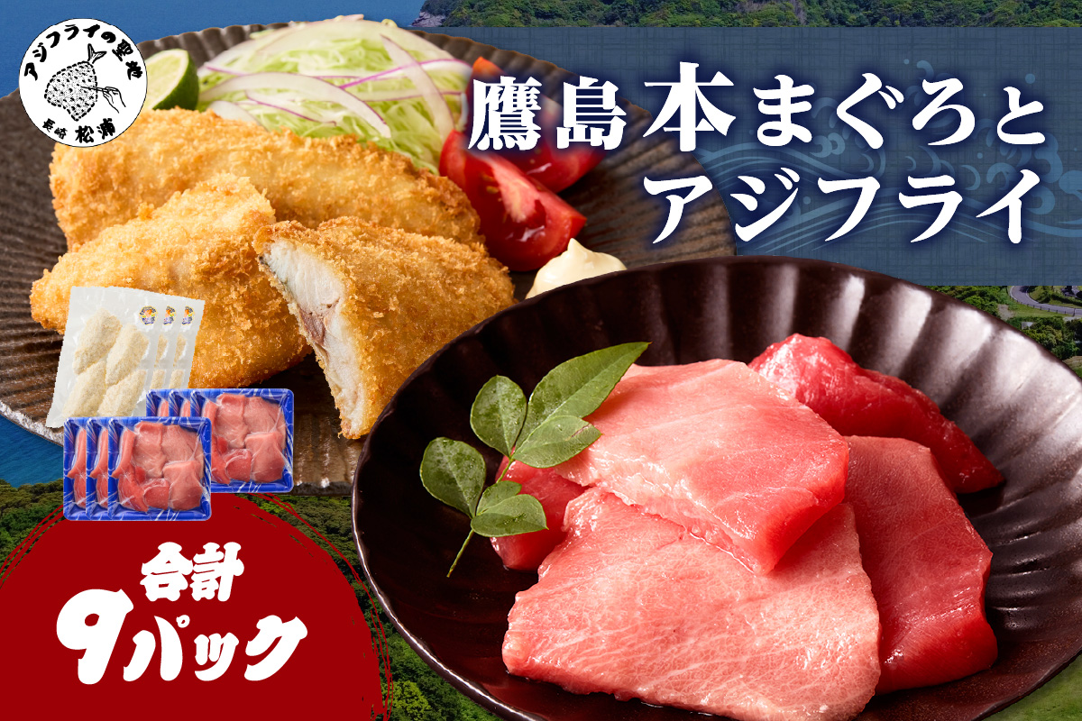 鷹島産本まぐろ 食べきりサイズ(80g×6p)とアジフライのセット(4枚×3p) ( 本まぐろ マグロ 鷹島産本まぐろ アジフライ あじ フィレタイプ ) 【C1-048】