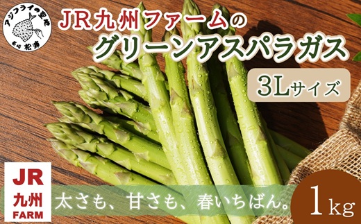 JR九州ファームのグリーンアスパラガス 3Lサイズ 1kg ( アスパラガス グリーンアスパラガス 国産 送料無料 長崎県 松浦市 )【176-0007】