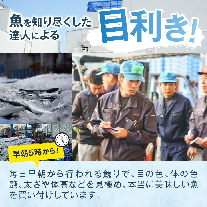 【流水解凍だけの簡単調理】海鮮醤油漬け バラエティ海鮮丼６種セット 各2パック( アジ サバ ブリ あじ さば ぶり 海鮮丼 流水解凍 お手軽 時短料理 海鮮 漬け丼 小分け 国産 長崎県 松浦市 )【B6-050】