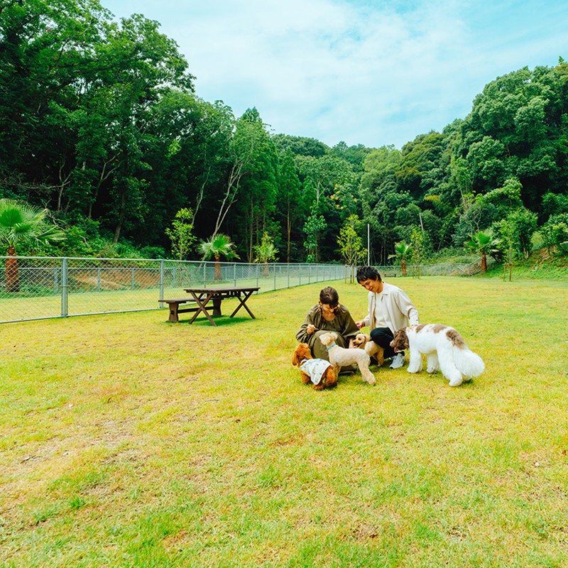 ペットリゾート ブレインズ長崎ご宿泊券 (スタンダードツイン１泊２食付)( 宿泊券 温泉宿 ペットリゾート ブレインズ長崎 宿泊券 温泉 長崎 松浦市福島 )【L00-008】