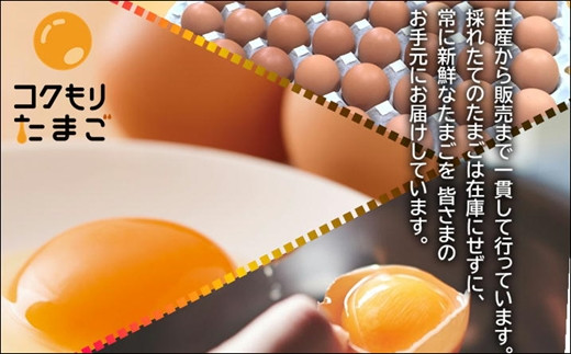 養鶏場直送！松浦の赤たまご『コクもりたまご』小さめサイズ98個+破卵保障10個( たまご タマゴ 卵 赤たまご 小さめ とれたて 卵かけごはん )【B5-097】