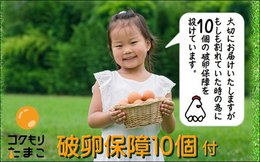 養鶏場直送！松浦の赤たまご『コクもりたまご』小さめサイズ98個+破卵保障10個( たまご タマゴ 卵 赤たまご 小さめ とれたて 卵かけごはん )【B5-097】