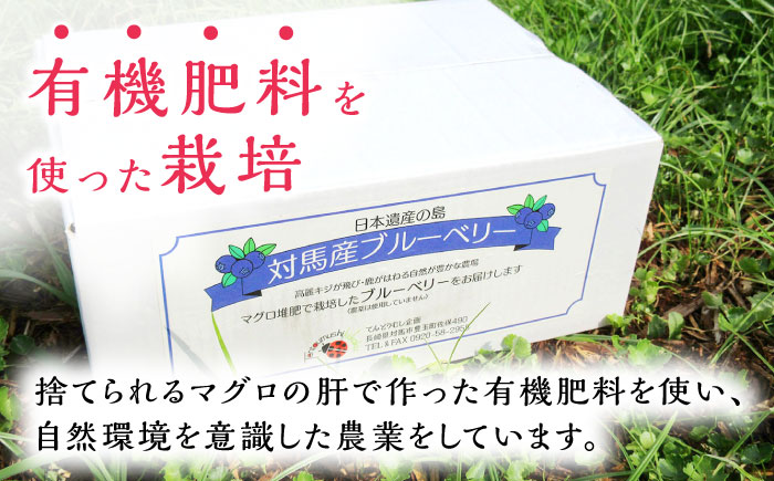 【最速発送】対馬産 ブルーベリー 600g×2袋 計1.2kg（ 冷凍 ） 【さほの里ファーム 】《 対馬市 》 小粒　離島 対馬 無農薬 有機肥料 旬 果物 フルーツ [WBG011]