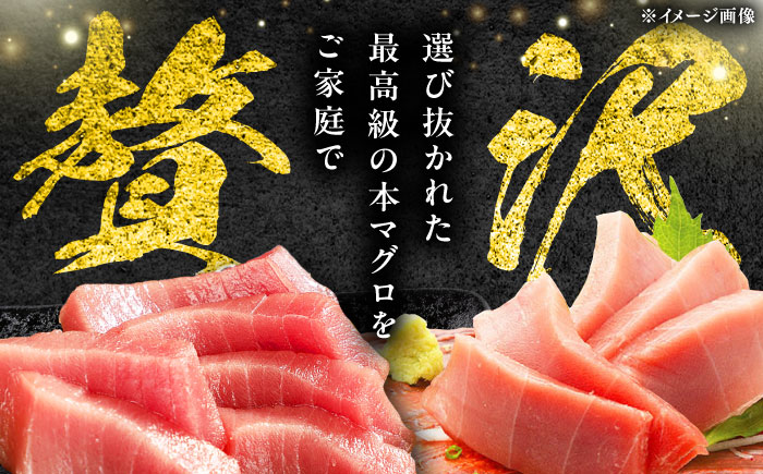 【全2回定期便】対馬産 本マグロ 3種 計450g（赤身/中トロ/ネギトロ）《対馬市》【対海】 新鮮 マグロ 鮪 本鮪 赤身 中トロ ねぎとろ 海鮮 冷凍 [WAH032]