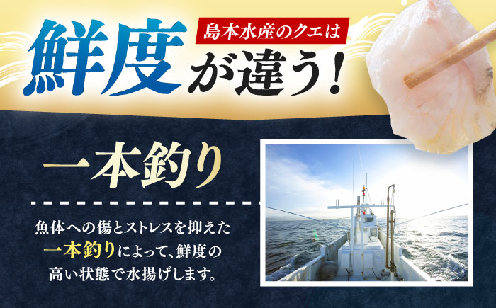 対馬産 クエ ぶつ切り 900g 鍋用スープ付《対馬市》【島本水産】高級魚 新鮮 肉厚 本格的 海鮮 鍋セット フライ 煮付け アラ [WBI006]