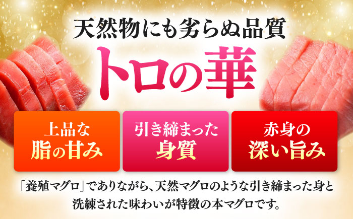 対馬産 本マグロ 中トロ200g ≪対馬市≫【桐谷商店】 トロの華 対馬 新鮮 マグロ 中トロ トロ 鮪 刺身 [WAQ119]
