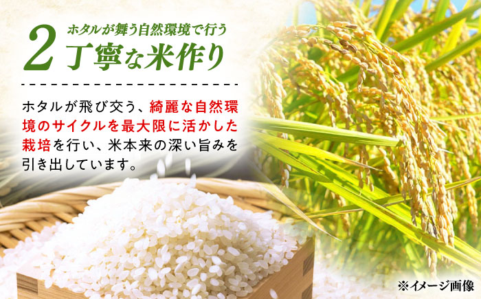 【R8年産】【2026年10月中旬頃より順次発送】特A 対馬産 にこまる 5kg×2「ほたる舞う三根川の米」 《対馬市》【永留しいたけ農園】新米 米 お米 ご飯 ごはん 白米 10kg 10キロ 産地直送 ランキング 送料無料 贈答用 特A [WAJ001]