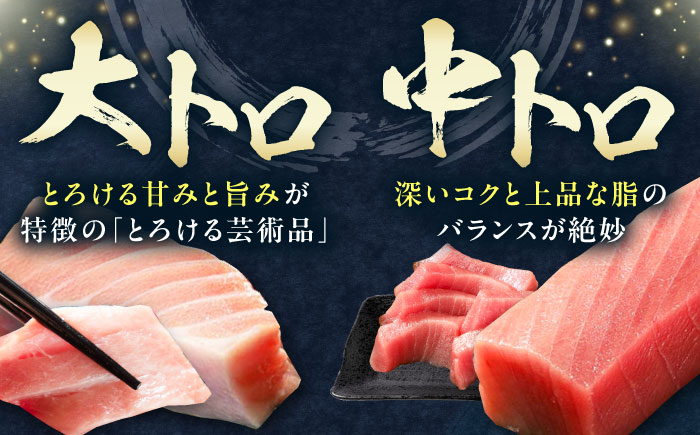 【全2回定期便】対馬産 本マグロ 4種 計1kg（赤身/中トロ/大トロ/ネギトロ）《対馬市》【対海】 新鮮 マグロ 鮪 本鮪 赤身 中トロ 大トロ ネギトロ 海鮮 冷凍 [WAH030]