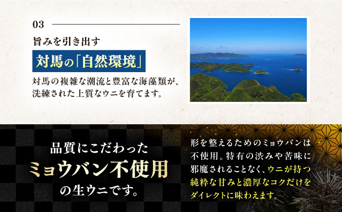 対馬産 生ウニ 1本 《対馬市》【いか吉工房】 うに 海鮮 雲丹 ウニ ムラサキウニ 紫ウニ [WBO003]